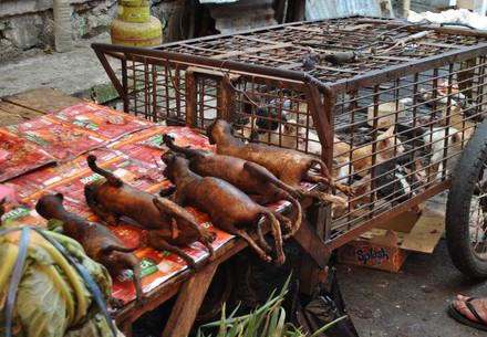 Market in Southeast Asia