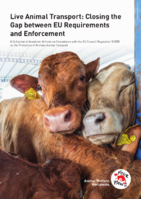 Collectie academische artikelen over het naleven van regels voor dierentransport