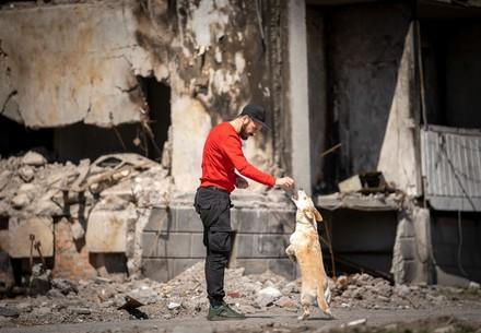 Des soins pour les animaux errants dans les rues de Bucha et d'autres villes ukrainiennes