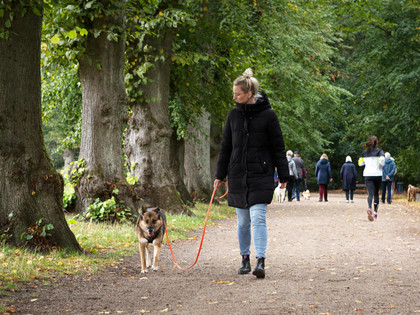 Frau geht mit Hund an der Leine spazieren