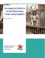 The impact of COVID-19 on the Online Puppy Trade: United Kingdom
