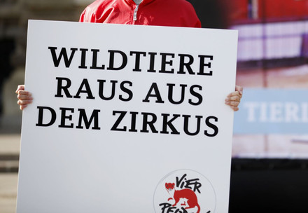 VIER PFOTEN Demonstrantin mit Handschild gegen Wildtiere im Zirkus
