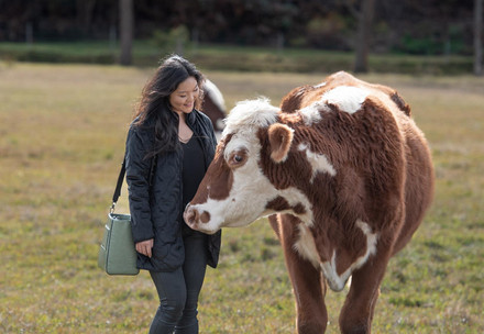 Frau in tierfreundlicher Fashion mit Kuh auf der Weide