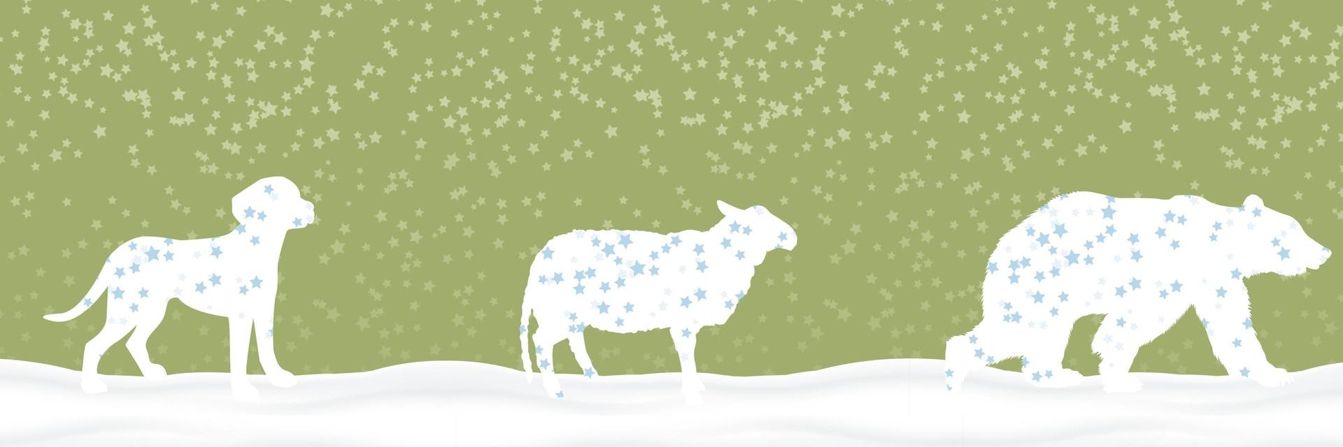 VIER PFOTEN Tiersymbole beim Spaziergang im Schnee