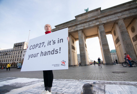 Une occasion manquée à la COP27 