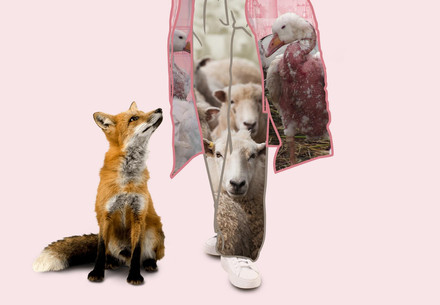 Taming Fashion: An Urgent Call to Reduce Animal Use in Fashion Sustainability Report Cover | 2023