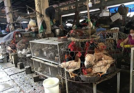Fleischhandel in Vietnam