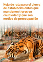Roadmap to closing captive tiger facilities of concern_Spanish version